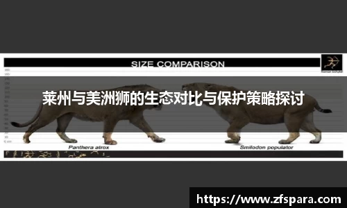 xk星空官方网